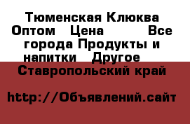 Тюменская Клюква Оптом › Цена ­ 200 - Все города Продукты и напитки » Другое   . Ставропольский край